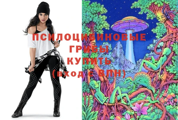 прущий лед Елабуга