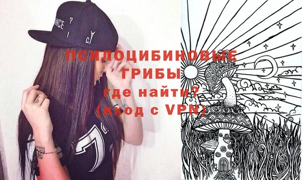 марки lsd Ельня