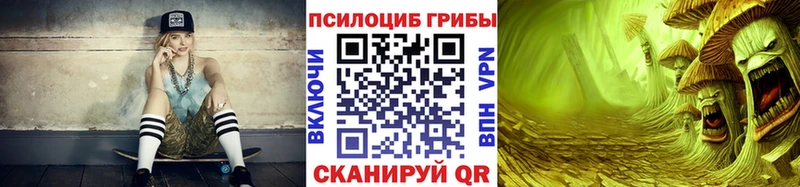 купить наркотик  Волосово  Псилоцибиновые грибы Psilocybine cubensis 