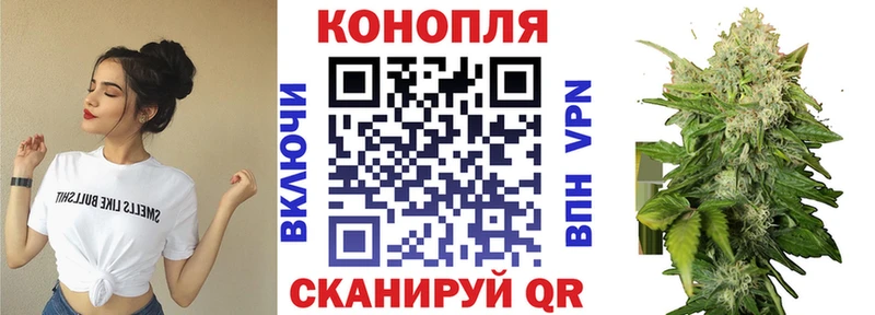 Каннабис сатива  Волосово 